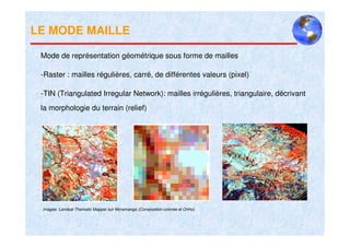 LE MODE MAILLE

 Mode de représentation géométrique sous forme de mailles

 -Raster : mailles régulières, carré, de différentes valeurs (pixel)

 -TIN (Triangulated Irregular Network): mailles irrégulières, triangulaire, décrivant
 la morphologie du terrain (relief)




 Images Landsat Thematic Mapper sur Moramanga (Composition colorée et Ortho)
 