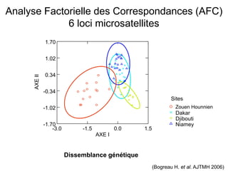 Analyse Factorielle des Correspondances (AFC)
6 loci microsatellites
-3.0 -1.5 0.0 1.5
AXE I
-1.70
-1.02
-0.34
0.34
1.02
1.70
AXEII
Niamey
Djibouti
Dakar
Sud Danané
Sites
Dissemblance génétique
(Bogreau H. et al. AJTMH 2006)
Zouen Hounnien
 