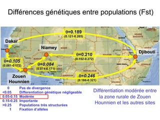 Différentiation modérée entre
la zone rurale de Zouen
Hounnien et les autres sites
θ=0.189
(0.121-0.265)
θ=0.210
(0.152-0.272)
θ=0.246
(0.166-0.321)
Djibouti
Dakar
Zouen
Hounnien
Niamey
0 Pas de divergence
<0.05 Differentiation génétique négligeable
0.05-0.15 Modérée
0.15-0.25 Importante
>0.25 Populations très structurées
1 Fixation d’allèles
θ=0.105
(0.081-0.172) θ=0.084
(0.074-0.171)
Différences génétiques entre populations (Fst)
 