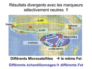 ZIMBABWE
Dakar
Djibouti
CONGO
OUGANDA
Différents Microsatellites  le même Fst
Différents échantillonnages différents Fst
Résultats divergents avec les marqueurs
sélectivement neutres !!
 