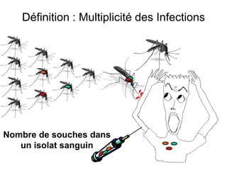 Définition : Multiplicité des Infections
Nombre de souches dans
un isolat sanguin
 