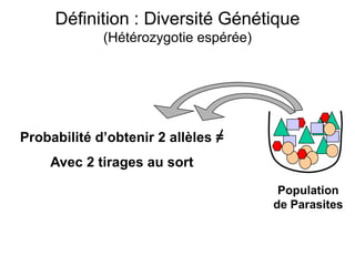 Définition : Diversité Génétique
(Hétérozygotie espérée)
Probabilité d’obtenir 2 allèles =
Avec 2 tirages au sort
Population
de Parasites
 