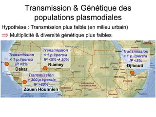 Transmission & Génétique des
populations plasmodiales
Hypothèse : Transmission plus faible (en milieu urbain)
⇒ Multiplicité & diversité génétique plus faibles
Transmission
< 1 p.i/pers/a
IP <5%
Djibouti
Transmission
< 1 p.i/pers/a
IP <5%
Dakar
Transmission
< 1 p.i/pers/a
IP <5% 30%
Niamey
Transmission
> 300 p.i/pers/a
IP >80%
Zouen Hounnien
 