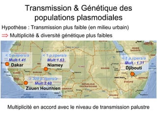 Transmission & Génétique des
populations plasmodiales
< 1 p.i/pers/a
Mult.: 1.31
Djibouti
< 1 p.i/pers/a
Mult:1.41
Dakar
< 1 p.i/pers/a
Mult:1.63
Niamey
> 300 p.i/pers/a
Mult:2.68
Zouen Hounnien
Multiplicité en accord avec le niveau de transmission palustre
Hypothèse : Transmission plus faible (en milieu urbain)
⇒ Multiplicité & diversité génétique plus faibles
 