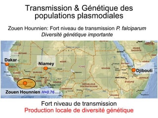 Transmission & Génétique des
populations plasmodiales
Fort niveau de transmission
Production locale de diversité génétique
Zouen Hounnien: Fort niveau de transmission P. falciparum
Diversité génétique importante
Djibouti
Niamey
Dakar
Zouen Hounnien H=0.76
 