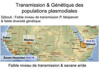 Transmission & Génétique des
populations plasmodiales
Faible niveau de transmission & savane aride
Djibouti : Faible niveau de transmission P. falciparum
& faible diversité génétique
H=0.53
Djibouti
Niamey
Dakar
Zouen Hounnien H=0.76
 