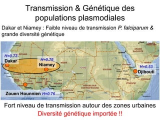 Transmission & Génétique des
populations plasmodiales
Fort niveau de transmission autour des zones urbaines
Diversité génétique importée !!
Dakar et Niamey : Faible niveau de transmission P. falciparum &
grande diversité génétique
H=0.53
Djibouti
H=0.76
Niamey
H=0.73
Dakar
Zouen Hounnien H=0.76
 