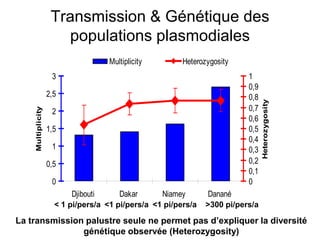 0
0,5
1
1,5
2
2,5
3
Djibouti Dakar Niamey Danané
Multiplicity
0
0,1
0,2
0,3
0,4
0,5
0,6
0,7
0,8
0,9
1
Heterozygosity
Multiplicity Heterozygosity
< 1 pi/pers/a <1 pi/pers/a <1 pi/pers/a >300 pi/pers/a
La transmission palustre seule ne permet pas d’expliquer la diversité
génétique observée (Heterozygosity)
Transmission & Génétique des
populations plasmodiales
 