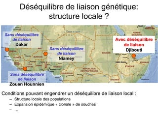 Déséquilibre de liaison génétique:
structure locale ?
Conditions pouvant engendrer un déséquilibre de liaison local :
– Structure locale des populations
– Expansion épidémique « clonale » de souches
– …
Sans déséquilibre
de liaison
Zouen Hounnien
Sans déséquilibre
de liaison
Niamey
Sans déséquilibre
de liaison
Dakar
Avec déséquilibre
de liaison
Djibouti
 