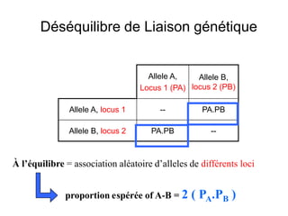 Allele A,
Locus 1 (PA)
Allele B,
locus 2 (PB)
Allele A, locus 1 -- PA.PB
Allele B, locus 2 PA.PB --
À l’équilibre = association aléatoire d’alleles de différents loci
proportion espérée of A-B = 2 ( PA.PB )
Déséquilibre de Liaison génétique
 