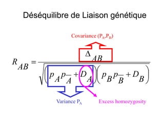 




 +




 +
∆
=
B
D
B
p
B
p
A
D
A
p
A
p
AB
AB
R
Covariance (PA,PB)
Variance PA Excess homozygosity
Déséquilibre de Liaison génétique
 