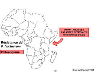 Résistance de
P. falciparum
Chloroquine
D’après Charmot 1991
IMPORTATION DES
PARASITES RESISTANTS
ORIGINAIRES D’ASIE
 