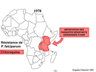 1978
Résistance de
P. falciparum
Chloroquine
D’après Charmot 1991
IMPORTATION DES
PARASITES RESISTANTS
ORIGINAIRES D’ASIE
 