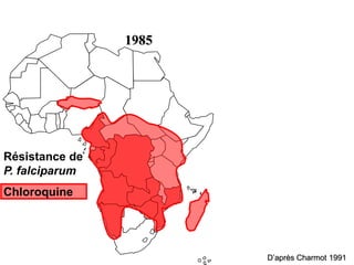 1985
Résistance de
P. falciparum
Chloroquine
D’après Charmot 1991
 