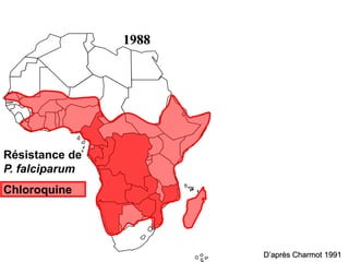 1988
Résistance de
P. falciparum
Chloroquine
D’après Charmot 1991
 