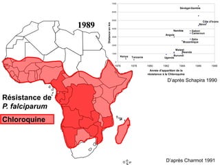 1989
Kenya Tanzanie Uganda
Rwanda
Malawi
Burundi
Mozanbique
Angola
Zaïre
Namibie
Cameroun
Gabon
Sénégal-Gambie
Côte d'Ivoire
Bénin
0
1000
2000
3000
4000
5000
6000
7000
1976 1978 1980 1982 1984 1986 1988
Année d'apparition de la
résistance à la Chloroquine
Distanceenkm
Résistance de
P. falciparum
Chloroquine
D’après Charmot 1991
D’après Schapira 1990
 