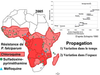 2005
Kenya Tanzanie Uganda
Rwanda
Malawi
Burundi
Mozanbique
Angola
Zaïre
Namibie
Cameroun
Gabon
Sénégal-Gambie
Côte d'Ivoire
Bénin
0
1000
2000
3000
4000
5000
6000
7000
1976 1978 1980 1982 1984 1986 1988
Année d'apparition de la
résistance à la Chloroquine
Distanceenkm
Sulfadoxine-
pyriméthamine
Résistance de
P. falciparum
Chloroquine
Méfloquine
1) Variation dans le temps
2) Variation dans l’espace
Propagation
D’après Schapira 1990
 