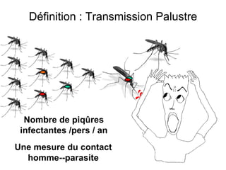 Définition : Transmission Palustre
Nombre de piqûres
infectantes /pers / an
Une mesure du contact
homme--parasite
 