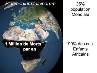 1 Million de Morts
par an
Plasmodium falciparum 35%
population
Mondiale
90% des cas
Enfants
Africains
 