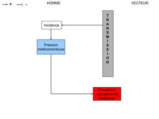 Prévalence
des gènes de
résistance
T
R
A
N
S
M
I
S
S
I
O
N
HOMME VECTEUR+ -
Incidence
Pression
médicamenteuse
 