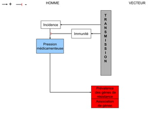 Prévalence
des gènes de
résistance
HOMME VECTEUR+ -
Incidence
Pression
médicamenteuse
Immunité
T
R
A
N
S
M
I
S
S
I
O
N
Association
de gènes
 