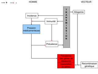 Prévalence
des gènes de
résistance
HOMME VECTEUR+ -
Incidence
Pression
médicamenteuse
Immunité
T
R
A
N
S
M
I
S
S
I
O
N
Allogamie
Recombinaison
génétique
Association
de gènes
Prévalence
 