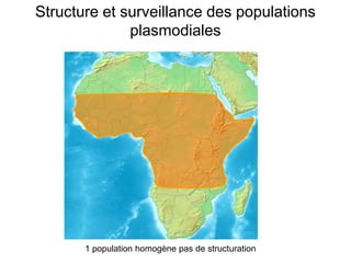 Structure et surveillance des populations
plasmodiales
1 population homogène pas de structuration
 
