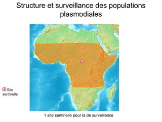Site
sentinelle
Structure et surveillance des populations
plasmodiales
1 site sentinelle pour la de surveillance
 