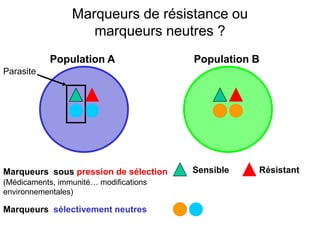 Population A Population B
Marqueurs sous pression de sélection
(Médicaments, immunité… modifications
environnementales)
Sensible Résistant
Marqueurs sélectivement neutres
Parasite
Marqueurs de résistance ou
marqueurs neutres ?
 