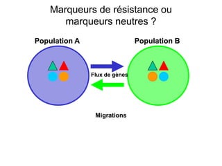 Population A Population B
Flux de gènes
Migrations
Marqueurs de résistance ou
marqueurs neutres ?
 