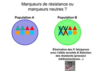 Population A Population B
Élimination des P. falciparum
avec l’allèle sensible & Sélection
des résistants (pression
médicamenteuse…)
Marqueurs de résistance ou
marqueurs neutres ?
 