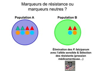 Population A Population B
Élimination des P. falciparum
avec l’allèle sensible & Sélection
des résistants (pression
médicamenteuse…)
Marqueurs de résistance ou
marqueurs neutres ?
 