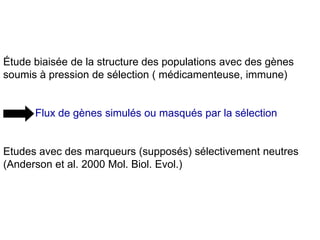 Étude biaisée de la structure des populations avec des gènes
soumis à pression de sélection ( médicamenteuse, immune)
Flux de gènes simulés ou masqués par la sélection
Etudes avec des marqueurs (supposés) sélectivement neutres
(Anderson et al. 2000 Mol. Biol. Evol.)
 
