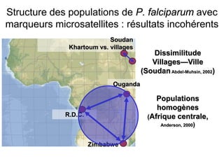 Dissimilitude
Villages—Ville
(SoudanAbdel-Muhsin, 2002)
Populations
homogènes
(Afrique centrale,
Anderson, 2000)
Zimbabwe
Soudan
Khartoum vs. villages
R.D.C.
Ouganda
Structure des populations de P. falciparum avec
marqueurs microsatellites : résultats incohérents
 