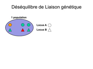 Déséquilibre de Liaison génétique
Locus A
Locus B
1 population
 