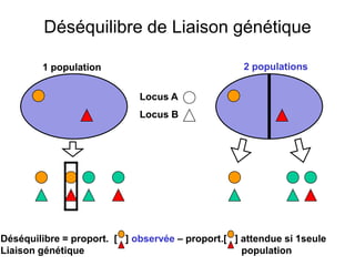 Déséquilibre de Liaison génétique
Déséquilibre = proport. [ ] observée – proport.[ ] attendue si 1seule
Liaison génétique population
Locus A
Locus B
1 population 2 populations
 