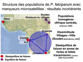 Populations
homogènes
(Afrique centrale,
Anderson, 2000)
Dissimilitude
Villages—Ville
(SoudanAbdel-Muhsin, 2002)
Déséquilibre de
liaison en zones de
fortes et faible
transmission (Leclerc,
2002; Durand 2003)
Zimbabwe
Soudan
Khartoum vs. villages
R.D.C.
Ouganda
Dakar
Déséquilibre de liaison
Equilibre de liaison
Congo
Structure des populations de P. falciparum avec
marqueurs microsatellites : résultats incohérents
 