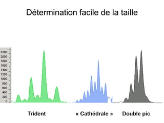 Détermination facile de la taille
Trident « Cathédrale » Double pic
 