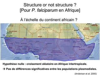 À l’échelle du continent africain ?
Structure or not structure ?
[Pour P. falciparum en Afrique]
Hypothèse nulle : croisement aléatoire en Afrique intertropicale.
 Pas de différences significatives entre les populations plasmodiales.
(Anderson et al. 2000)
 