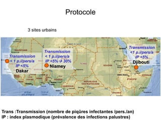 Protocole
Transmission
<1 p.i/pers/a
IP <5%
Djibouti
Transmission
< 1 p.i/pers/a
IP <5%
Dakar
Transmission
< 1 p.i/pers/a
IP <5% 30%
Niamey
Trans :Transmission (nombre de piqûres infectantes /pers./an)
IP : index plasmodique (prévalence des infections palustres)
3 sites urbains
 