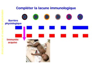 Accèspalustresetsouchesdeplasmodies
Compléter la lacune immunologique
Barrière
physiologique
Immunité
acquise
 