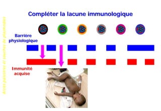 Accèspalustresetsouchesdeplasmodies
Compléter la lacune immunologique
Barrière
physiologique
Immunité
acquise
 