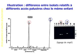 Accèspalustresetsouchesdeplasmodies
Illustration : différence entre isolats relatifs à
différents accès palustres chez le même enfant
(typage de msp1)
 