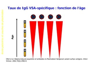 Accèspalustresetsouchesdeplasmodies
Taux de IgG VSA-spécifique : fonction de l’âge
Age
Ofori et al. Malaria-induced acquisition of antibodies to Plasmodium falciparum variant surface antigens. Infect
Immun. 2002;70(6):2982-8.
 