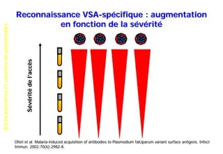 Accèspalustresetsouchesdeplasmodies
Reconnaissance VSA-spécifique : augmentation
en fonction de la sévérité
Sévéritédel’accès
Ofori et al. Malaria-induced acquisition of antibodies to Plasmodium falciparum variant surface antigens. Infect
Immun. 2002;70(6):2982-8.
 