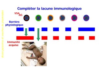 Accèspalustresetsouchesdeplasmodies
Compléter la lacune immunologique
Barrière
physiologique
Immunité
acquise
AG
VSA
 