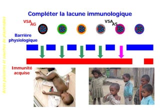Accèspalustresetsouchesdeplasmodies
Compléter la lacune immunologique
Barrière
physiologique
Immunité
acquise
AG
VSA
AS
VSA
 