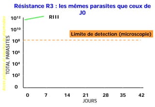 Accèspalustresetsouchesdeplasmodies
0 7 14 21 28 35 42
JOURS
1012
1010
108
106
104
102
0
TOTALPARASITES
Limite de detection (microscopie)
RIII
Résistance R3 : les mêmes parasites que ceux de
J0
 