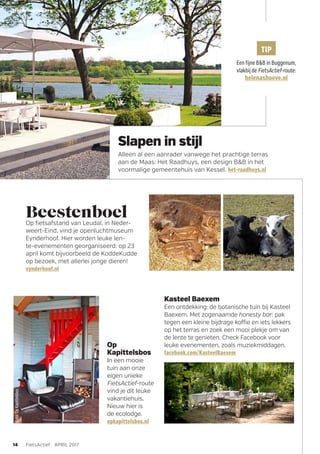 Op
Kapittelsbos
In een mooie
tuin aan onze
eigen unieke
FietsActief-route
vind je dit leuke
vakantiehuis.
Nieuw hier is
de ecolodge.
opkapittelsbos.nl
BeestenboelOp fietsafstand van Leudal, in Neder-
weert-Eind, vind je openluchtmuseum
Eynderhoof. Hier worden leuke len-
te-evenementen georganiseerd: op 23
april komt bijvoorbeeld de KoddeKudde
op bezoek, met allerlei jonge dieren!
eynderhoof.nl
Slapen in stijl
Alleen al een aanrader vanwege het prachtige terras
aan de Maas: Het Raadhuys, een design B&B in het
voormalige gemeentehuis van Kessel. het-raadhuys.nl
Foto:OpKapittelsbos
14 FietsActief APRIL 2017
Midden-Limburg Special
TIP
Een fijne B&B in Buggenum,
vlakbij de FietsActief-route:
helenashoeve.nl
Kasteel Baexem
Een ontdekking: de botanische tuin bij Kasteel
Baexem. Met zogenaamde honesty bar: pak
tegen een kleine bijdrage koffie en iets lekkers
op het terras en zoek een mooi plekje om van
de lente te genieten. Check Facebook voor
leuke evenementen, zoals muziekmiddagen.
facebook.com/KasteelBaexem
 