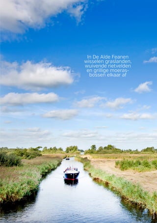 MarcelvanKammen
In De Alde Feanen
wisselen graslanden,
wuivende rietvelden
en grillige moeras-
bossen elkaar af
 